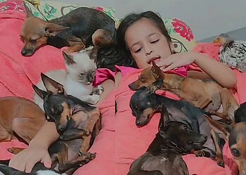 Foto: Reprodução Redes Sociais