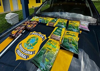 Espanhola é presa por tráfico de drogas no Acre