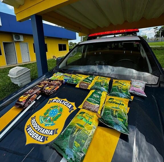 Espanhola é presa por tráfico de drogas no Acre