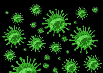 Especialistas teme quem vírus da gripe aviária cause nova pandemia
© dfirman77/istock