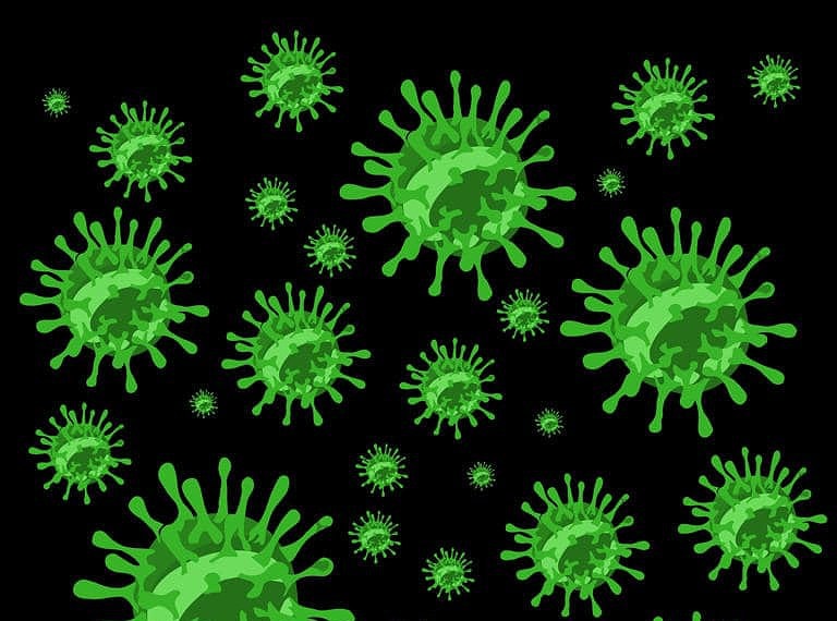 Especialistas teme quem vírus da gripe aviária cause nova pandemia
© dfirman77/istock
