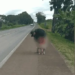Criança de fralda que caminhava por br 153 é resgatada. Foto: Reprodução/Métropoles