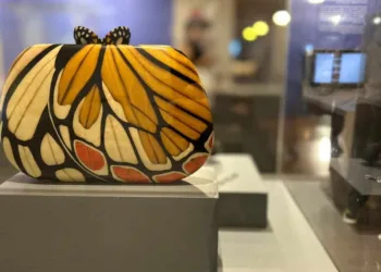 Marchetaria do Acre recebe prêmio da Unesco e Conselho Mundial do Artesanato