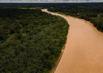 Acre apresentou uma redução de 30% nos alertas de desmatamentos emitidos de 1° a 19 de abril de 2024, se comparado com o mesmo período do ano passado. Foto: Alexandre Cruz-Noronha/Sema