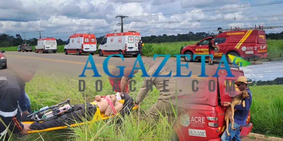 Homem se desequilibra de árvore e cai de aproximadamente 10 metros de altura; estado de saúde é grave