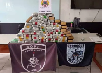 Bope apreende quase 80 quilos de maconha no bairro Cadeia Velha