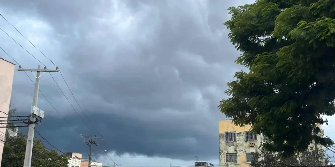 Foto: Iryá Rodrigues