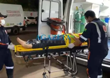 Mulher atropela capivara, sofre acidente, cai e quebra clavícula