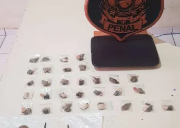 Em revista, drogas e estoques são apreendidos em cela de presídio no Acre