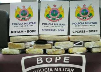 Bope apreende mais de 13 quilos de entorpecentes no Calafate e homem é preso