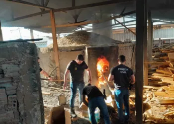 Mais de 80 quilos de drogas são incinerados no interior do Acre