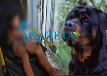 Criança de cinco anos é violentamente atacada por cão Rottweiler em Rio Branco