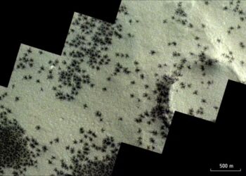 Imagens captadas pela Agência Espacial Europeia revelam fenômeno no planeta vermelho que gera formas semelhantes a aracnídeos. Uma imagem captada recentemente pela sonda ExoMars Trace Gas Orbiter , da Agência Espacial Europeia (ESA), revelou uma série de formações na superfície de Marte que, à primeira vista, se assemelham a um grupo de aranhas.

Essas formações bastante peculiares, encontradas em uma região no polo sul do planeta vermelho chamada de "Cidade Inca", resultam do gelo que, com a mudança do inverno para a primavera marciana, libera gás carbônico, formando canais que vão de 45 metros a um quilômetro de diâmetro.

"Essas pequenas rachaduras se formam quando a luz do sol primaveril recai sobre a cobertura de dióxido de carbono depositada durante os meses escuros de inverno", explicou a ESA.

"A luz solar transforma em gás o gelo de dióxido de carbono que está na base dessa cobertura, o que faz com que se acumule e rompa as placas de gelo superiores. O gás se libera na primavera marciana, arrastando matéria de coloração escura para a superfície e rompendo as camadas de gelo de até um metro de espessura."

O gás, carregado de um pó escuro, é lançado em altas colunas através das fendas no gelo, formando gêiseres e se depositando sobre a superfície, o que cria as manchas escuras observadas nas imagens. Esses processos formam padrões sob o gelo que, vistos de cima, lembram aranhas.

Nasa busca candidatos para participar de simulação da vida em Marte; veja os requisitos
Nasa busca candidatos para participar de simulação da vida em Marte; veja os requisitos

Saiba mais

"Cidade Inca" em Marte
Descoberta em 1972 pela sonda Mariner 9 da Nasa, a "Cidade Inca", também chamada de Angustus Labyrinthus, deve seu nome a cordilheiras lineares, sobre as quais se pensava inicialmente se tratar de dunas de areia petrificada, ou restos de antigas geleiras.

Segundo o portal científico Live Science, descobertas da sonda Mars Orbiter de 2002 indicavam a existência de uma cratera circular de 86 quilômetros de largura, possivelmente criada após um impacto de um corpo celeste. As cristas geométricas poderiam ser formadas pelo magma acumulado após a colisão.

Imagem em perspectiva da "Cidade Inca" em Marte. — Foto: ESA
Imagem em perspectiva da "Cidade Inca" em Marte. — Foto: ESA

Exemplo clássico de pareidolia
O fenômeno que ocorre quando nossas mentes nos enganam, fazendo-nos ver coisas que não existem, é conhecido como pareidolia. É o acontece ao detectarmos rapidamente padrões familiares que podem ter um valor evolutivo para identificar, por exemplo, possíveis perigos, como uma serpente. Daí às vezes enxergarmos coisas que não existem, como as tais "aranhas marcianas".


Formações na superfície de Marte resultam do gelo que, com a mudança do inverno para a primavera marciana, libera gás carbônico em formas que se assemelham a aranhas - Foto: ExoMars TGO/ESA