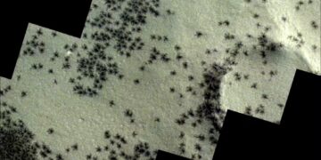 Imagens captadas pela Agência Espacial Europeia revelam fenômeno no planeta vermelho que gera formas semelhantes a aracnídeos. Uma imagem captada recentemente pela sonda ExoMars Trace Gas Orbiter , da Agência Espacial Europeia (ESA), revelou uma série de formações na superfície de Marte que, à primeira vista, se assemelham a um grupo de aranhas.

Essas formações bastante peculiares, encontradas em uma região no polo sul do planeta vermelho chamada de "Cidade Inca", resultam do gelo que, com a mudança do inverno para a primavera marciana, libera gás carbônico, formando canais que vão de 45 metros a um quilômetro de diâmetro.

"Essas pequenas rachaduras se formam quando a luz do sol primaveril recai sobre a cobertura de dióxido de carbono depositada durante os meses escuros de inverno", explicou a ESA.

"A luz solar transforma em gás o gelo de dióxido de carbono que está na base dessa cobertura, o que faz com que se acumule e rompa as placas de gelo superiores. O gás se libera na primavera marciana, arrastando matéria de coloração escura para a superfície e rompendo as camadas de gelo de até um metro de espessura."

O gás, carregado de um pó escuro, é lançado em altas colunas através das fendas no gelo, formando gêiseres e se depositando sobre a superfície, o que cria as manchas escuras observadas nas imagens. Esses processos formam padrões sob o gelo que, vistos de cima, lembram aranhas.

Nasa busca candidatos para participar de simulação da vida em Marte; veja os requisitos
Nasa busca candidatos para participar de simulação da vida em Marte; veja os requisitos

Saiba mais

"Cidade Inca" em Marte
Descoberta em 1972 pela sonda Mariner 9 da Nasa, a "Cidade Inca", também chamada de Angustus Labyrinthus, deve seu nome a cordilheiras lineares, sobre as quais se pensava inicialmente se tratar de dunas de areia petrificada, ou restos de antigas geleiras.

Segundo o portal científico Live Science, descobertas da sonda Mars Orbiter de 2002 indicavam a existência de uma cratera circular de 86 quilômetros de largura, possivelmente criada após um impacto de um corpo celeste. As cristas geométricas poderiam ser formadas pelo magma acumulado após a colisão.

Imagem em perspectiva da "Cidade Inca" em Marte. — Foto: ESA
Imagem em perspectiva da "Cidade Inca" em Marte. — Foto: ESA

Exemplo clássico de pareidolia
O fenômeno que ocorre quando nossas mentes nos enganam, fazendo-nos ver coisas que não existem, é conhecido como pareidolia. É o acontece ao detectarmos rapidamente padrões familiares que podem ter um valor evolutivo para identificar, por exemplo, possíveis perigos, como uma serpente. Daí às vezes enxergarmos coisas que não existem, como as tais "aranhas marcianas".


Formações na superfície de Marte resultam do gelo que, com a mudança do inverno para a primavera marciana, libera gás carbônico em formas que se assemelham a aranhas - Foto: ExoMars TGO/ESA
