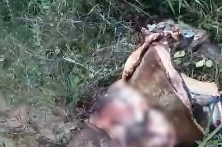 Cavalo é encontrado com o corpo partido ao meio e o coração removido, no interior do Acre