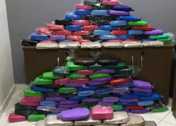 Motorista é preso por transportar mais de 170 quilos de cocaína escondida em caminhão em Rio Branco