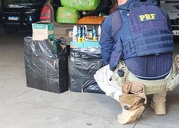 PRF apreende carga de contrabando em Senador Guiomard