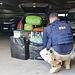 PRF apreende carga de contrabando em Senador Guiomard