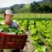 Foto: Arquivo / MDA