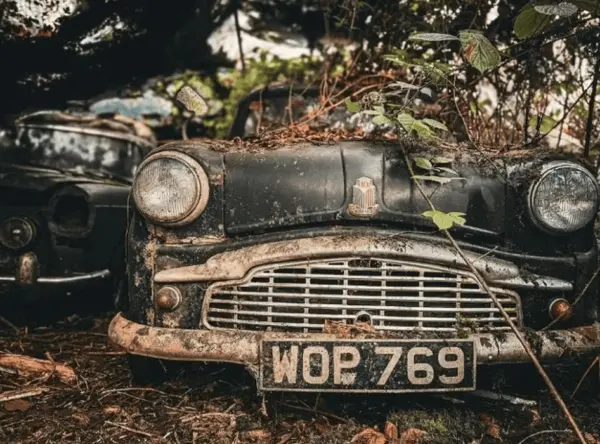 Mulher encontra 'tesouro' de 50 carros antigos escondidos em floresta