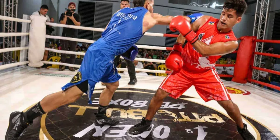 1º Open Pitibull de Boxe é realizado no estado neste sábado. Foto: Marcos Vincentti/Secom