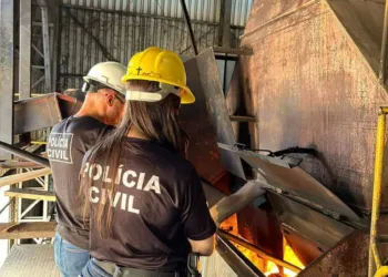 Polícia Civil realiza incineração de drogas em Xapuri