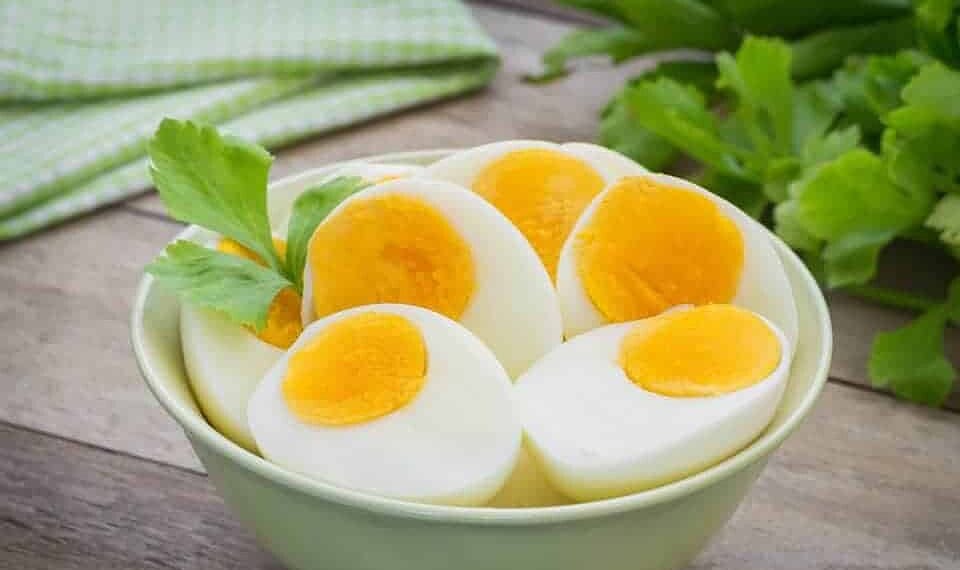 Ovos: saiba o que acontece com o corpo se comer a proteína diariamente