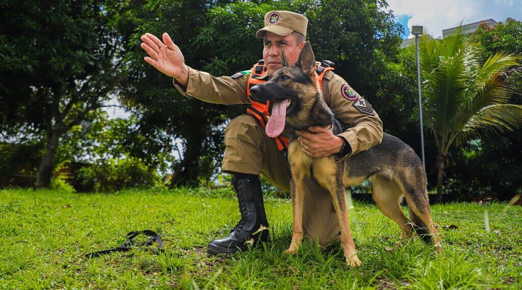 Binômio é o termo utilizado para identificar cada bombeiro militar cinotécnico condutor e seu cão de resgate. Foto: Neto Lucena/Secom