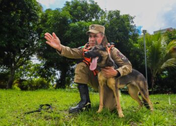 Binômio é o termo utilizado para identificar cada bombeiro militar cinotécnico condutor e seu cão de resgate. Foto: Neto Lucena/Secom