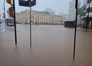 Foto: Metrópoles
