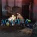 Jovem de 19 anos morre asfixiado em incêndio causado por celular que explodiu na madrugada