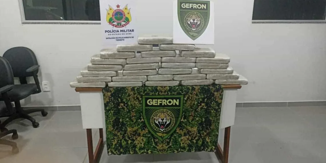 Mulher é presa transportando 28 quilos de drogas na BR-317