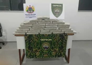 Mulher é presa transportando 28 quilos de drogas na BR-317