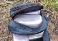 Mais de 11 quilos de cocaína são apreendidos em caminhão na BR-317