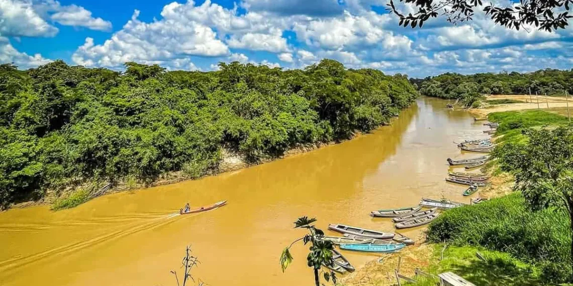 Foto: Arison Jardim