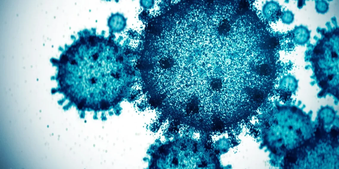 A nova variante do coronavírus, a KP.2, é altamente transmissível, mas não parece causar doença mais grave, segundo especialista
Yuichiro Chino/GettyImages