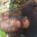 Irmão mata o outro degolado com golpe de foice no Acre