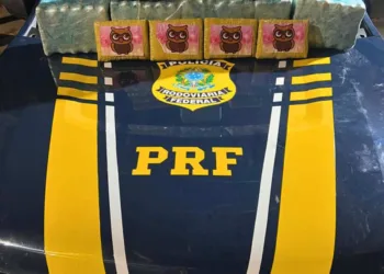 PRF apreende quase 33 kg de skunk na BR-364; droga seria enviada para Goiânia