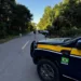 PRF intensifica ações contra o tráfico de drogas, armas e outros ilícitos no Acre