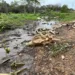 Foto: Caíque Rodrigues/g1 RR
