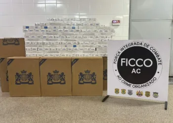 Forças de Seguranças apreendem veículo carregado com cigarros contrabandeados