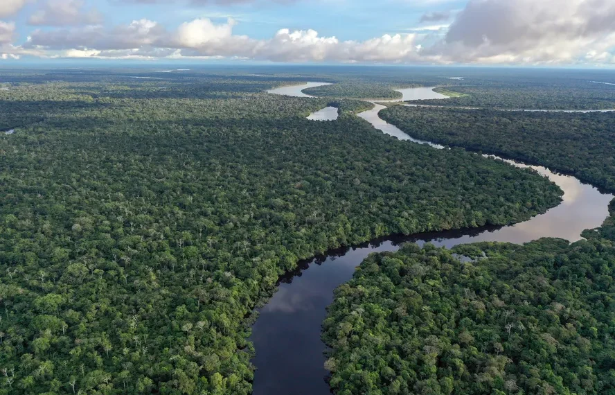 Amazônia estava 3,3 milhões de hectares abaixo da média para área de águas superficiais no bioma em 2023. — Foto: Getty Images