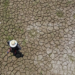 Mudanças climáticas já interferem em secas e cheias na Amazônia
