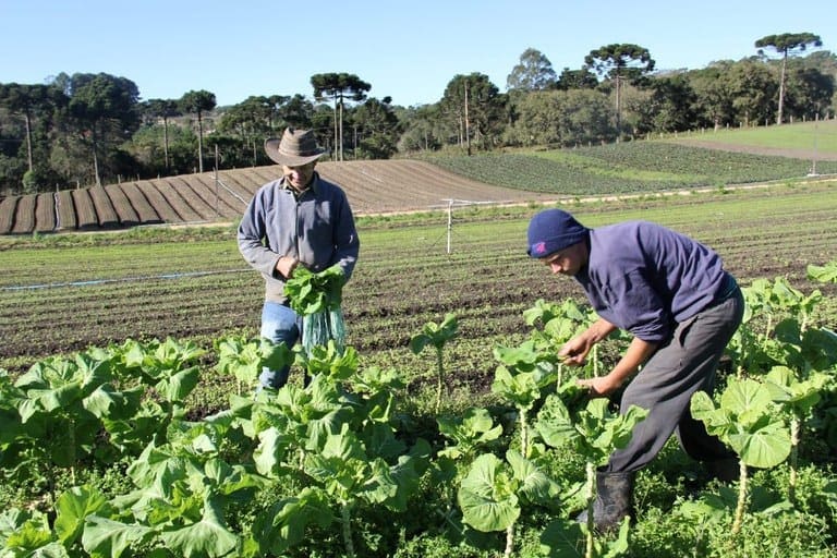 Pronaf 2023/2024 investe R$ 436 milhões na agricultura familiar do Acre, aumento de 39,4% em relação à safra 2022/2023