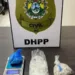 Suspeito de tentativa de homicídio é capturado pela Polícia Civil do Acre