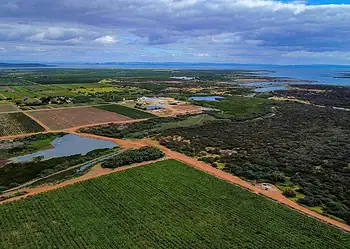 Prazo para produtor emitir CCIR finaliza no dia 18 de julho