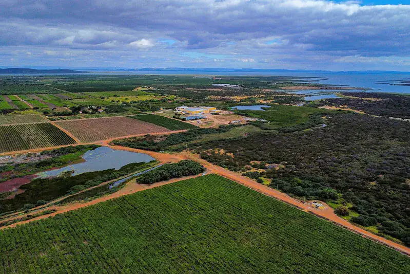 Prazo para produtor emitir CCIR finaliza no dia 18 de julho