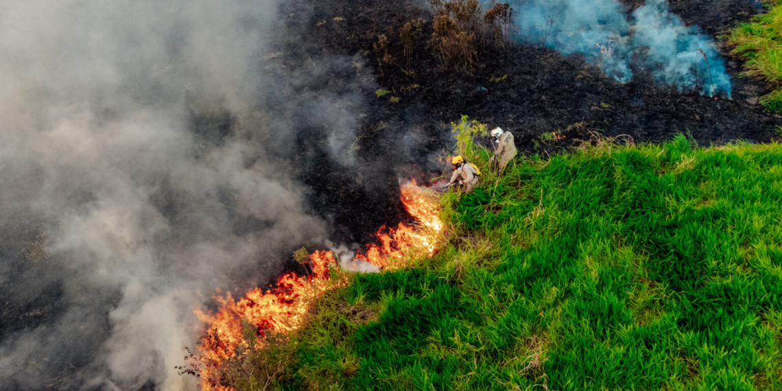 Autorização de queima está suspensa em todo o estado. Foto: Neto Lucena/Secom