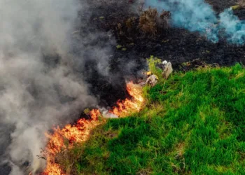 Autorização de queima está suspensa em todo o estado. Foto: Neto Lucena/Secom