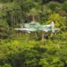 Imagem: Força Aérea Brasileira